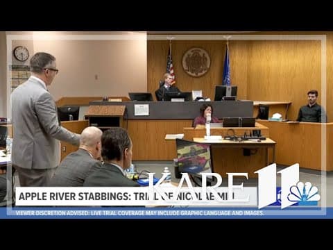 WATCH LIVE: Apple River stabbing: Nicolae Miu trial day 3 (morning session)
