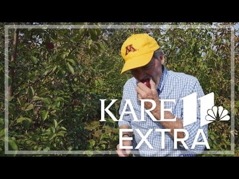 'Save the world from mediocre apples': How the U of M develops the next big apple