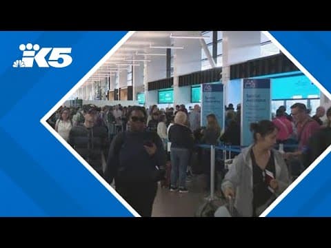 Travelers sleeping on the ground, spending hours in ticketing lines after Alaska IT outage