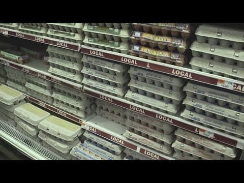 Surging egg prices begin to hit bakeries