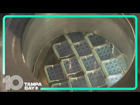 Stalled Florida bill about 'unborn children' raises concerns about impact on IVF and abortion