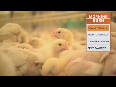 First U.S. death from the Bird Flu reported