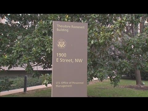 All existing federal DEI workers now on paid leave, White House says