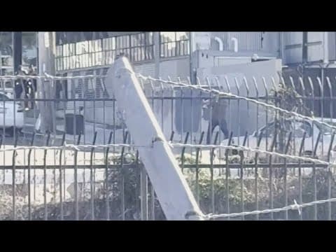 New video shows Little Italy shootout with the suspected gunman who killed two in Downtown