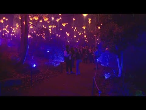 Lightscape returns to San Diego Botanic Garden