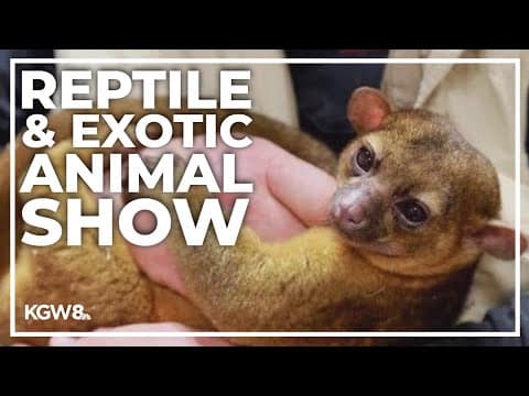 Reptile and exotic animal show returns to Hillsboro