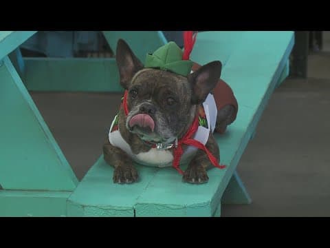 Urban South Oktoberfest organizers talk beer