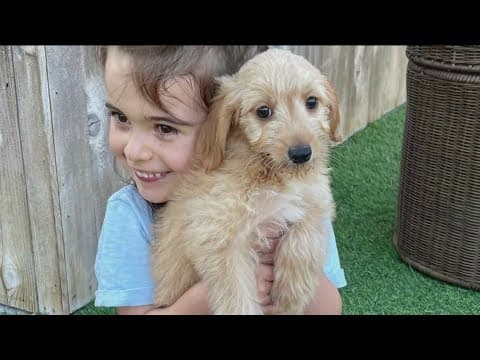 Mikayla’s journey shows the healing power of dogs at Rady Children’s Hospital