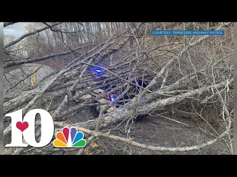 Downed tree traps TN state trooper in his car