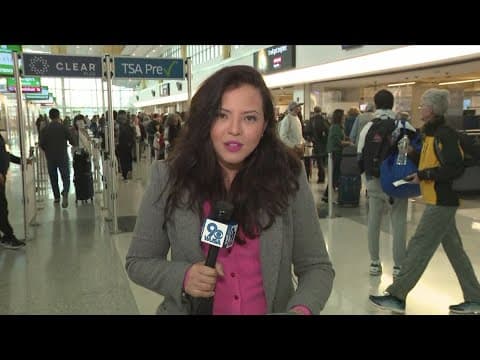 Holiday Travel: Nearly 80 Million Americans to Hit Roads and Skies for Thanksgiving
