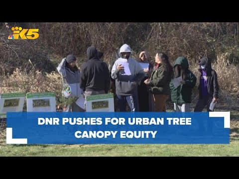 DNR pushes for urban tree canopy equity in south King County, celebrates youth participation