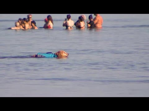 FIRST ALERT WEATHER: Heat Advisory continues through this evening