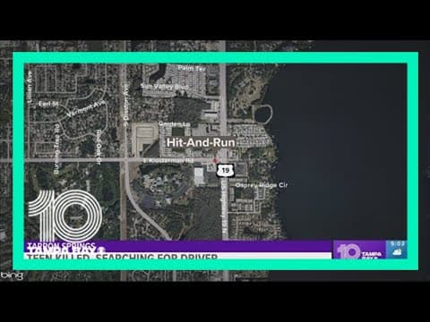 Police searching for 2 drivers accused in hit-and-run crashes in Pinellas County