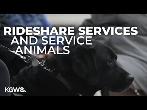 Rideshare companies are trying to make it easier for people traveling with service animals