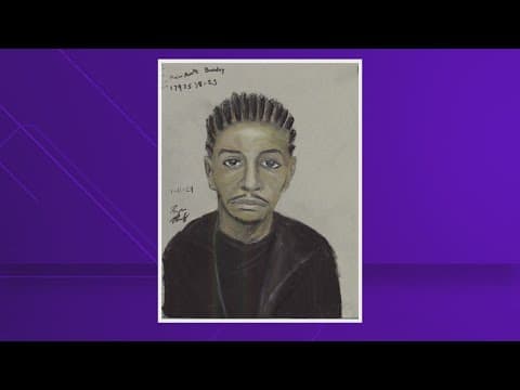 Houston police release sketch of gunman who shot woman in the face days before Christmas