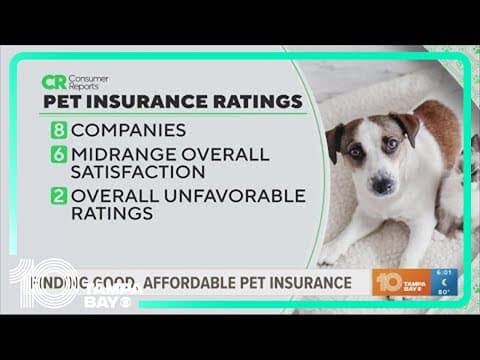 How much should pet insurance cost you?