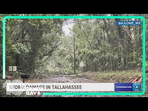 Possible tornadoes move through Tallahassee