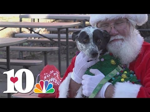 Santa with his pups led a pub crawl