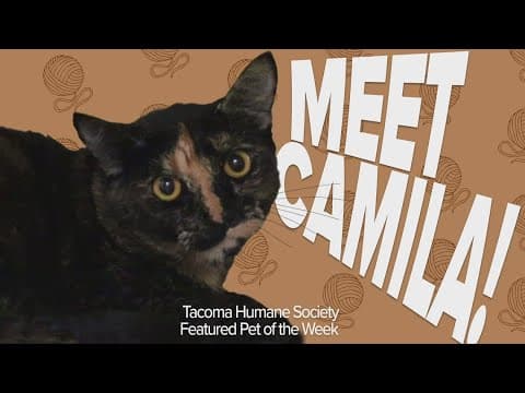 Pet Rescue of the Week: Camila