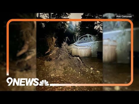 Tree falls on roof during bomb cyclone in Washington