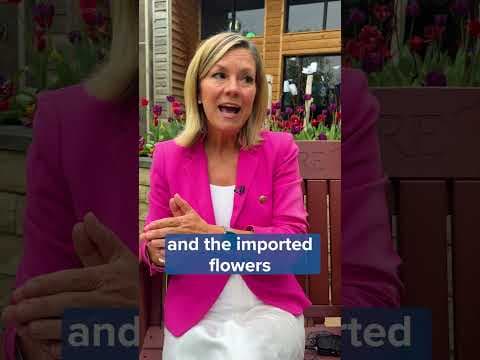 Business is blooming for flower farms, with a beautiful benefit to buying local! #kare11 #shorts