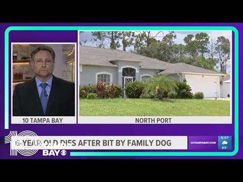 Boy, 6, dies from dog bite in North Port