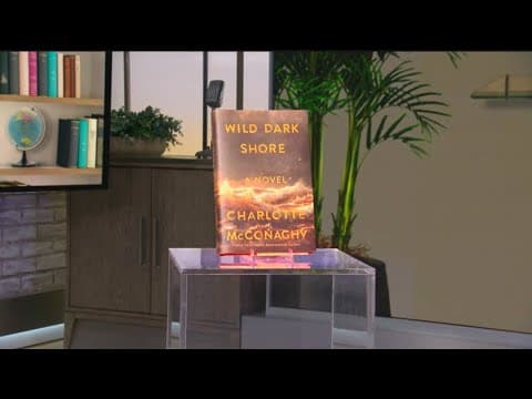 Amazons best books of 2025 (so far)