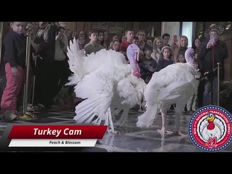 Peach & Blossom pardoned by Pres. Biden Thanksgiving