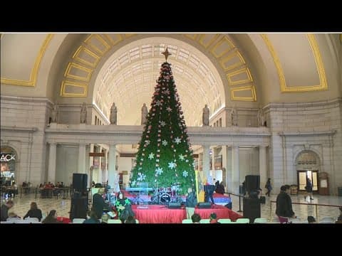 WATCH: Christmas tree lighting in Union Station
