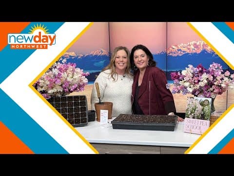 Stanwood’s 'Sweet Pea Queen' says it’s time to start planting for romantic blooms - New Day NW