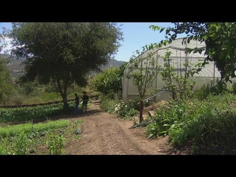 Escondido farm showcases sustainable, innovative farming technique