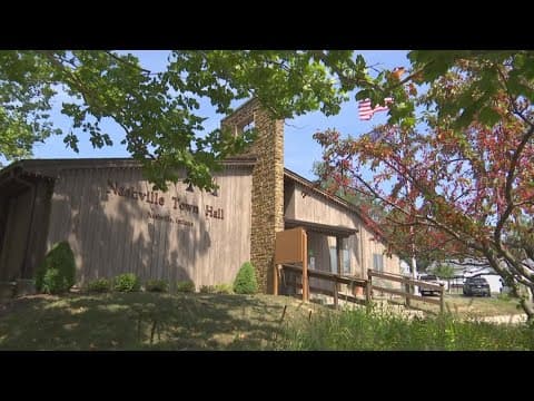 Nashville police chief removed by town council