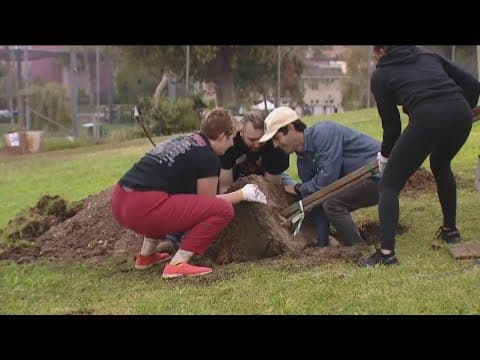 60 new trees planted at City Heights park on Arbor Day