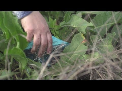 Volunteers pick up tons of trash in Weatherford