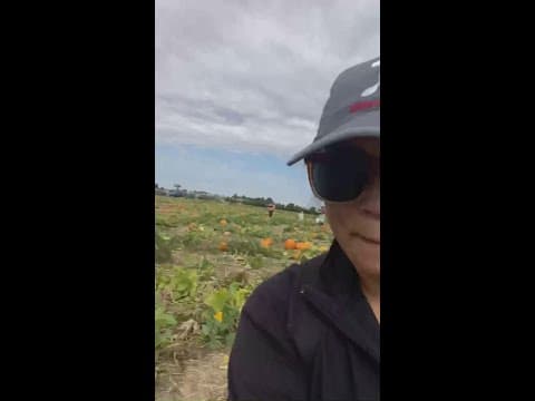 Pumpkin picking with Angela An