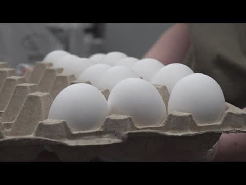 East TN bakery struggling as egg prices soar to new heights