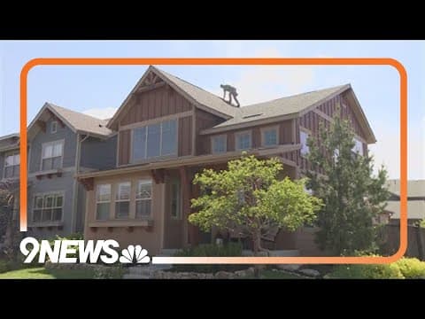 Colorado Division of Insurance shares tips after hailstorm batters metro Denver