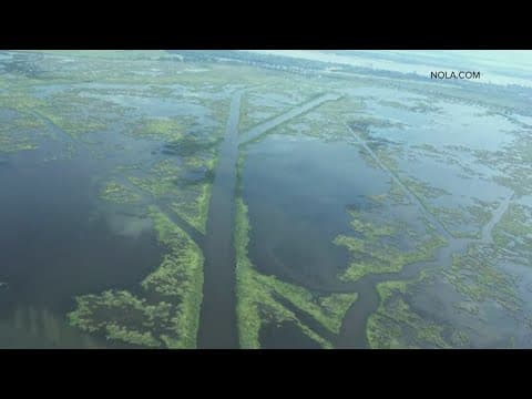 Jury rules Chevron to pay $740M for Louisiana coastal restoration