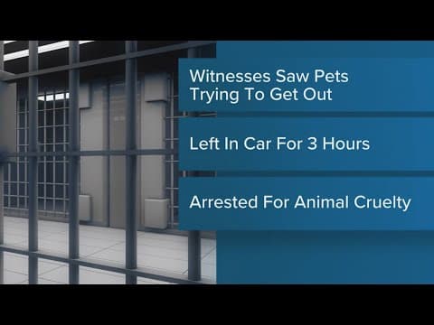 2 arrested after dog found dead in hot car on Indy's northwest side