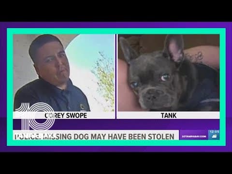 Police: Missing dog may have been stolen