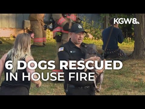 Dog dies after North Portland house fire