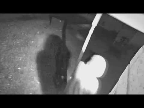 Suspect arrested after North Texas woman says she woke up to a man holding knife to her throat