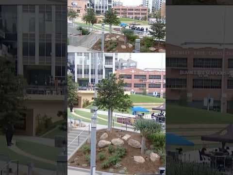 Petco Park prepares for the Padres NLDS watch party #baseball #mlb