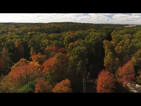 Columbus woman dead after being struck by falling branch at Mohican State Park