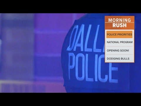 Dallas police chief presents ideas to solve staffing issues