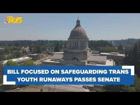 Legislation that safeguards runaway youth seeking health services clears state House