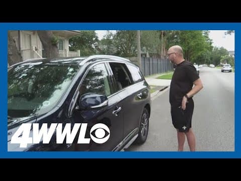 Dozens of car break-ins in Lakeview overnight