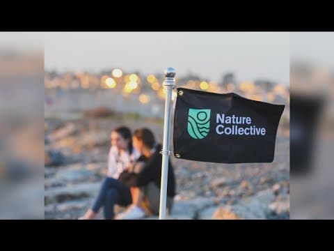 Nonprofit 'Nature Collective' helps restore habitats, waterways, wildlife
