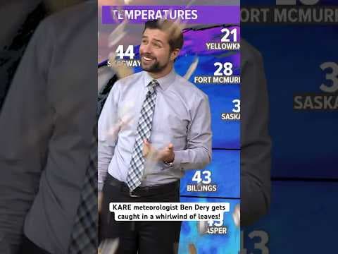 KARE meteorologist gets caught in a whirlwind of leaves on live TV!