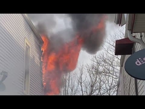 Three dogs killed in Treme house fire